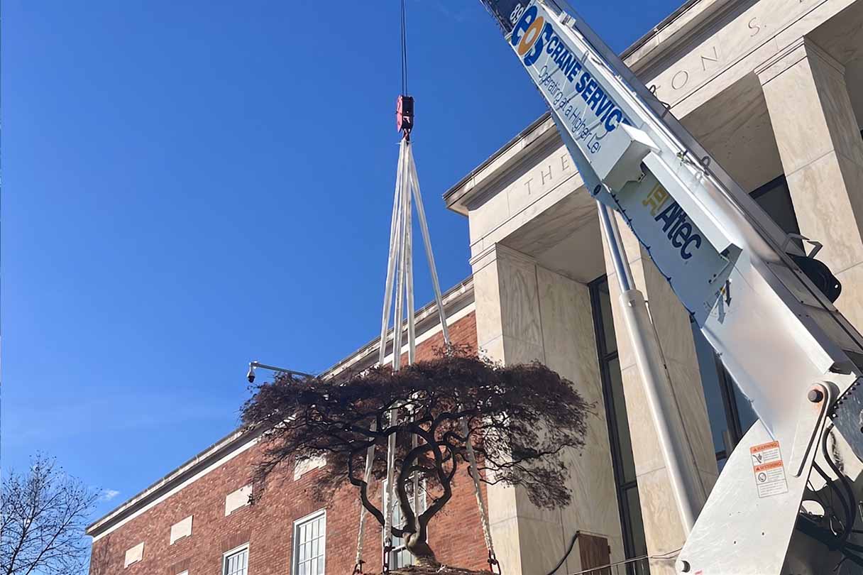 crane in front of a school